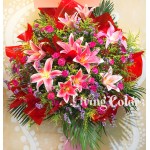 Congratulation Flower Basket GO2855